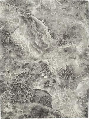 Nourison Gradient GDT06 Gray/Silver
